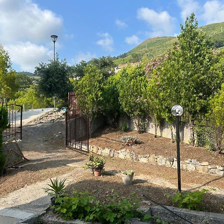 Villa Loren Praia a Mare Εξωτερικό φωτογραφία