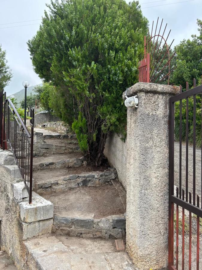 Villa Loren Praia a Mare Εξωτερικό φωτογραφία
