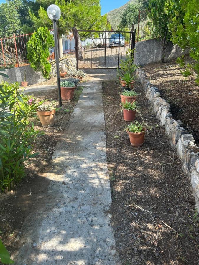Villa Loren Praia a Mare Εξωτερικό φωτογραφία