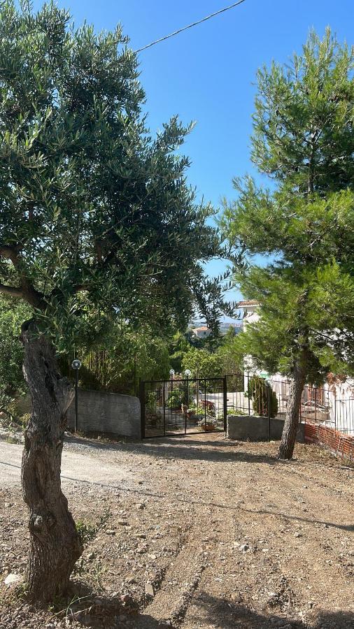 Villa Loren Praia a Mare Εξωτερικό φωτογραφία
